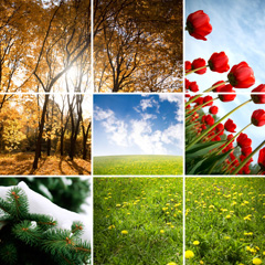 Celebrate your favorite season with a grid-style collage canvas print