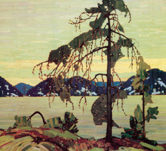 Jack Pine by Tom Thomson, painted in 1916